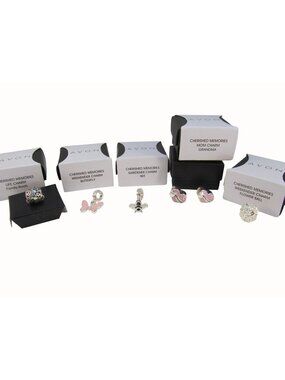 Avon Cherished Memories Slide Charms Set Lot of 6 Designs in Original Avon Boxes